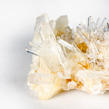 Load image into Gallery viewer, Lemurian Crystal Cluster