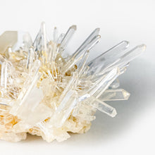 Load image into Gallery viewer, Lemurian Crystal Cluster
