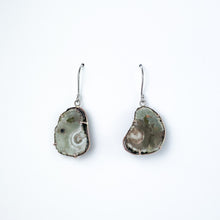 Load image into Gallery viewer, Copper Agate Two Tone Gold Earrings - Large
