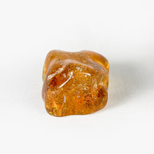 Load image into Gallery viewer, Polished Columbian Amber
